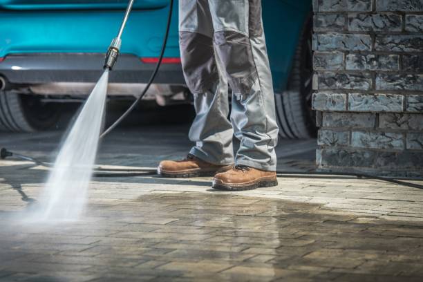Best House Exterior Washing  in Town N Country, FL
