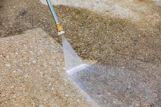 Best Pool Deck Cleaning  in Town N Country, FL